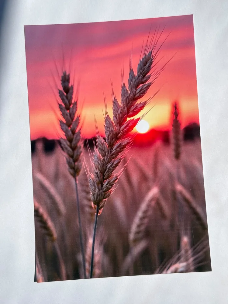 Глянцевий фотодрук Lumidruk